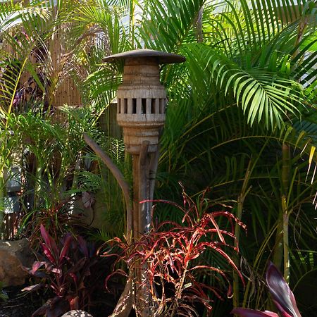 Lotus Suite, 1 Bedroom, Sleeps 4, Pool & Bbq, Pre-Renovation Summer Sale Kihei Esterno foto